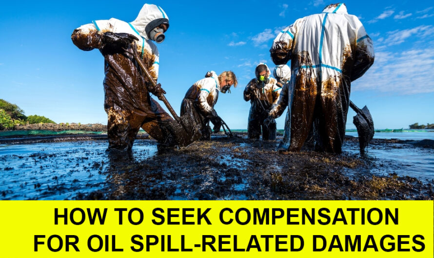 How to Seek Compensation for Oil Spill-Related Damages